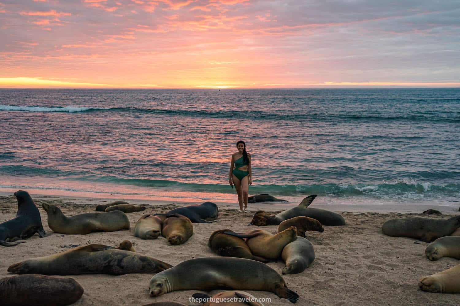 Jhos and the sea lions at sunset