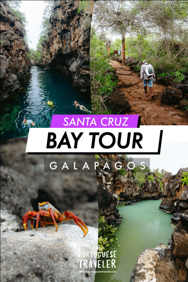 Bay Tour in Santa Cruz, Galapagos