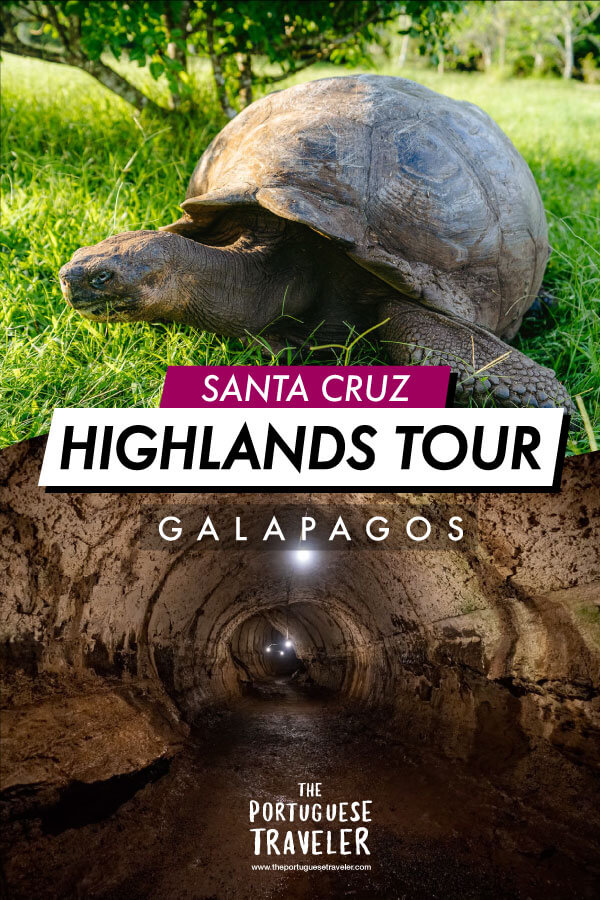 Highlands Tour in Santa Cruz, Galapagos