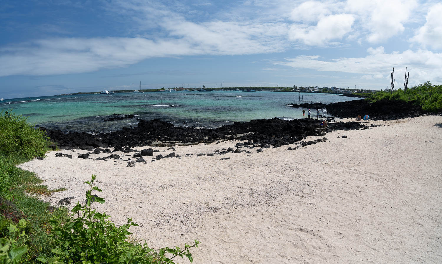The Station beach in Santa Cruz, Galápagos