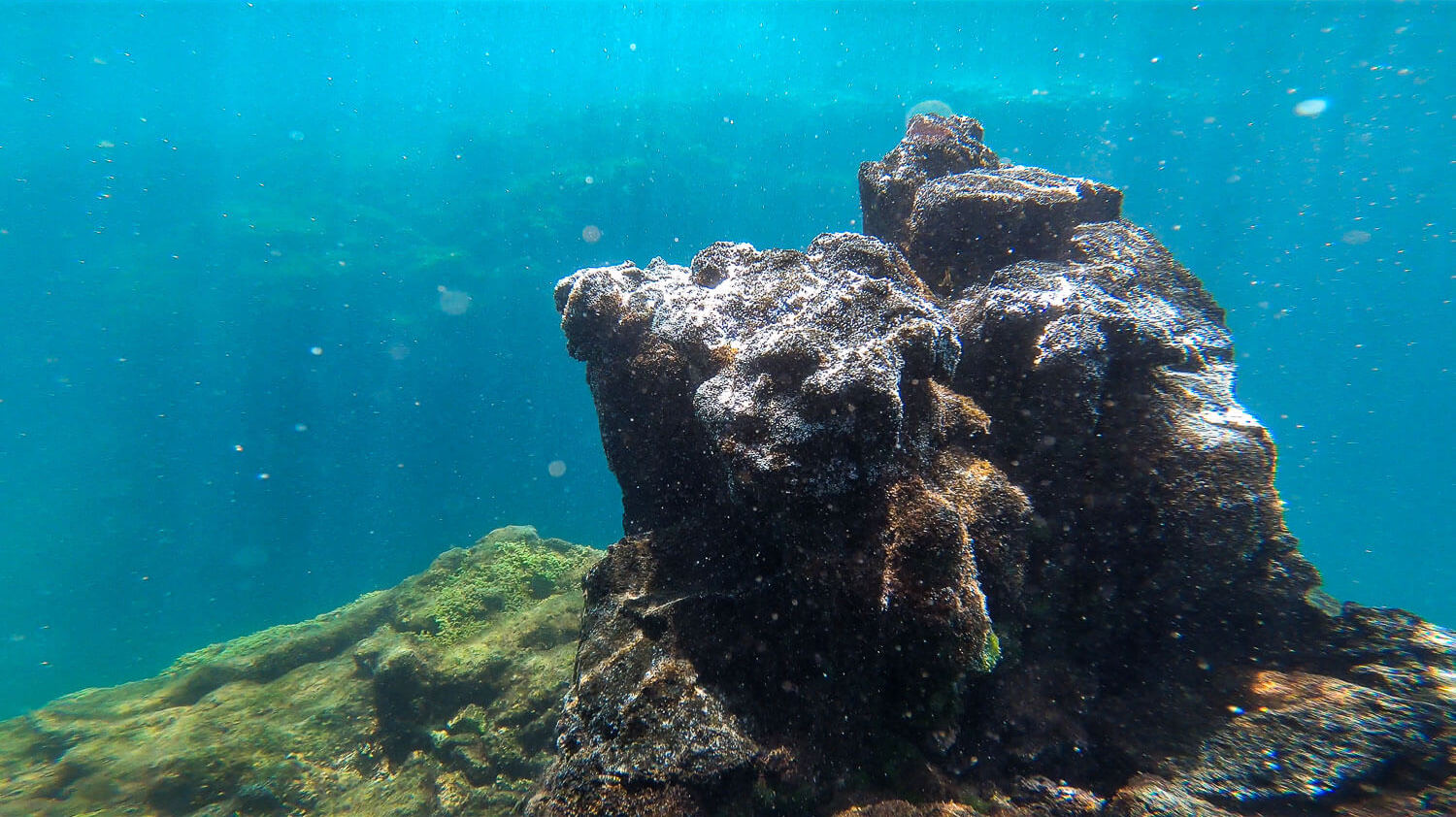 The underwater lava structures full of little air bubbles