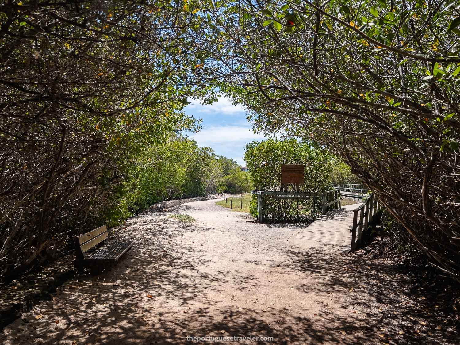 The arrival at Playa de los Alemanes and Finch Bay Hotel