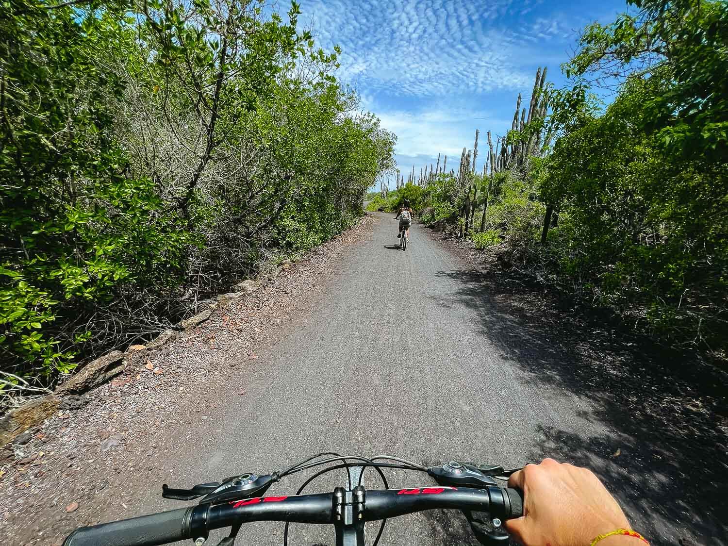 Biking to Cerro Orchilla viewpoint