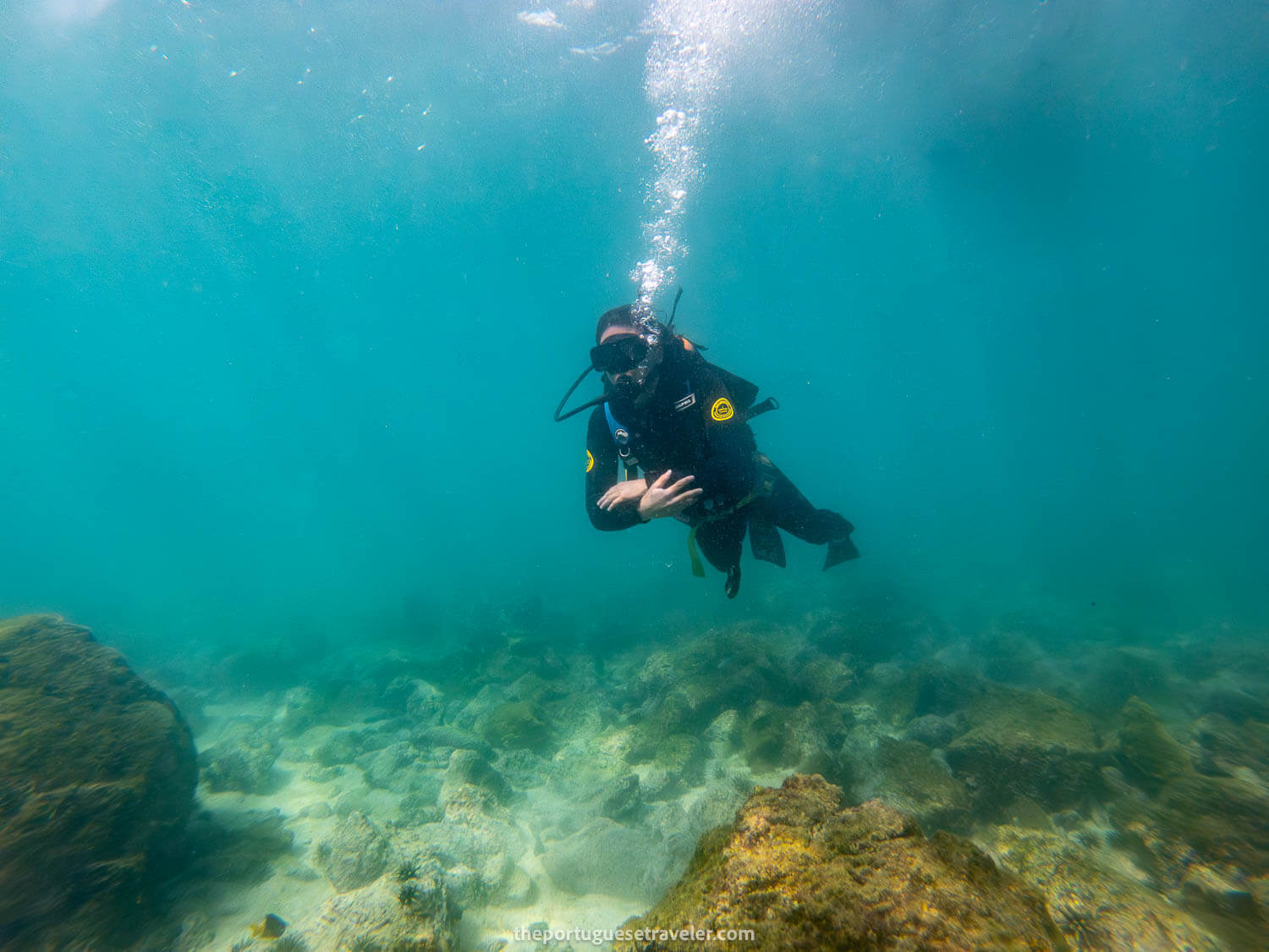 The discovery dive in Isla Lobos