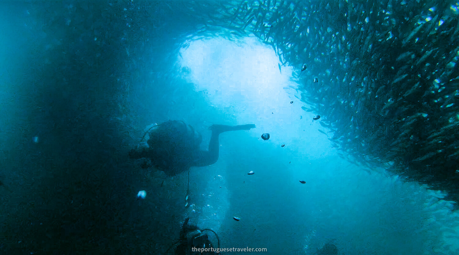 My team surrounded by fish on the Kicker Rock dive