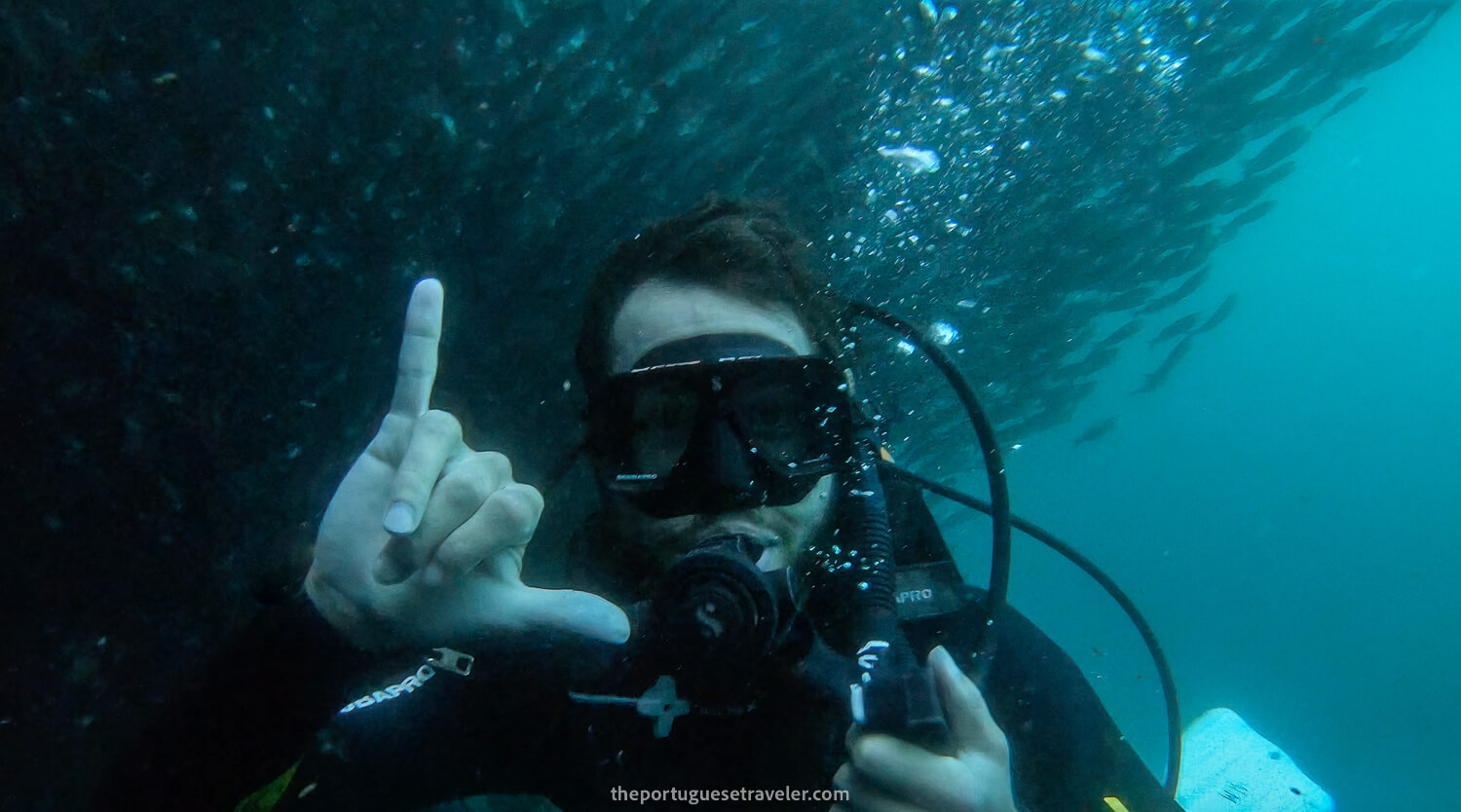 My dive buddy Diogo