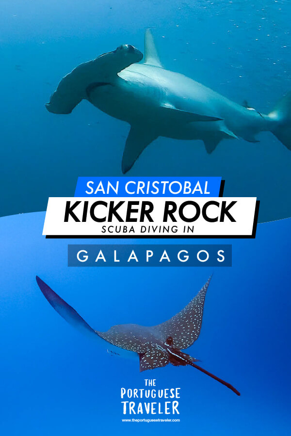 Kicker Rock Diving
