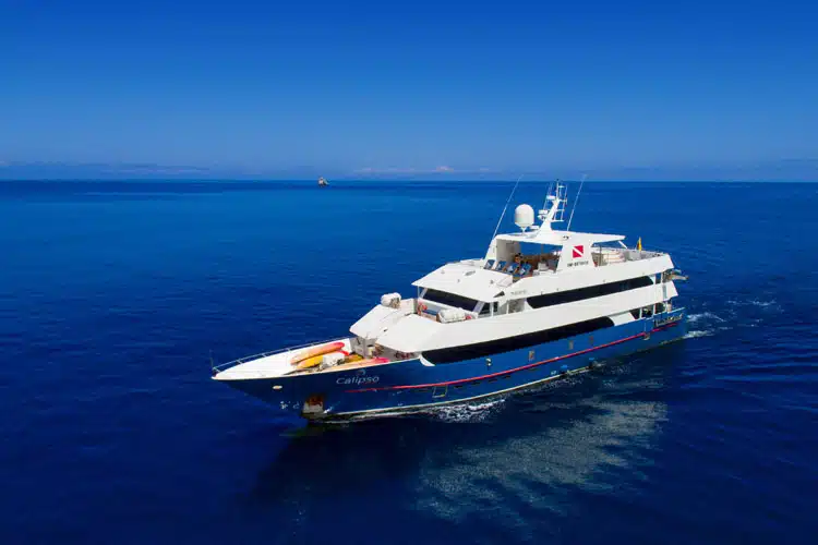 Calipso Dive Yacht from Royal Galapagos