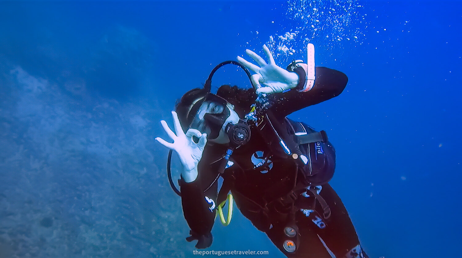 My buddy also super happy after spotting her first hammerhead