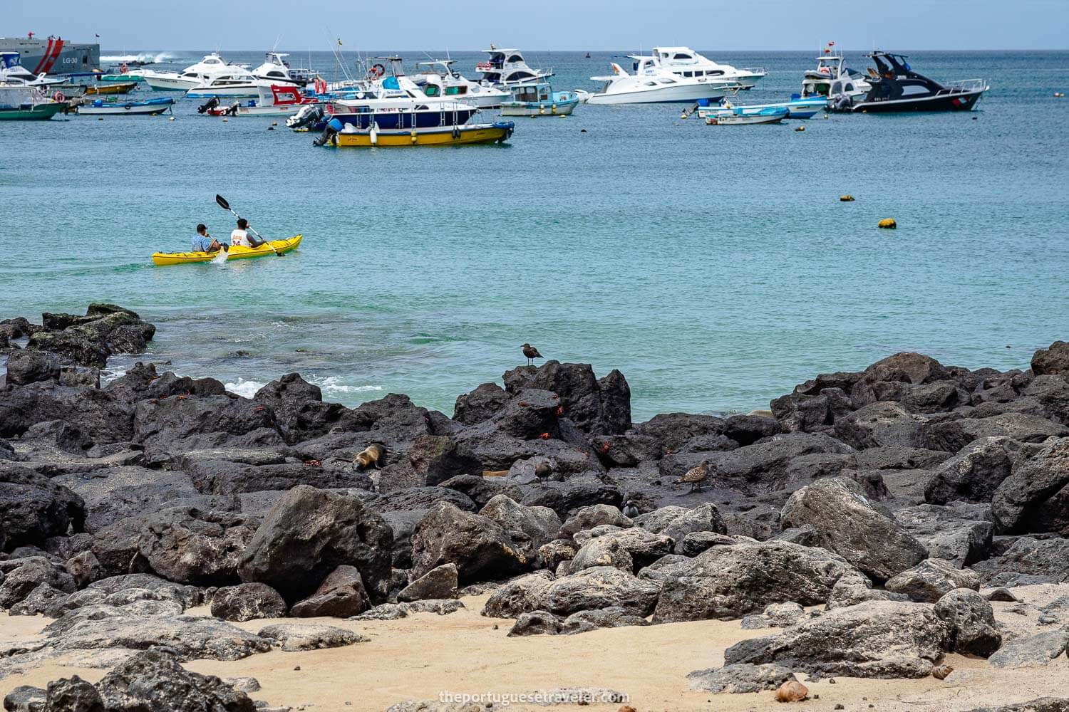 Kayaking in San Cristobal
