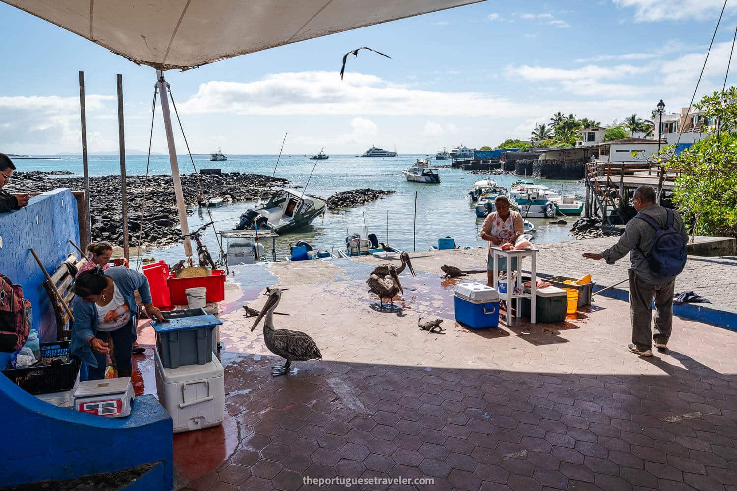 Muelle de los Pescadores in Puerto Ayora, Santa Cruz