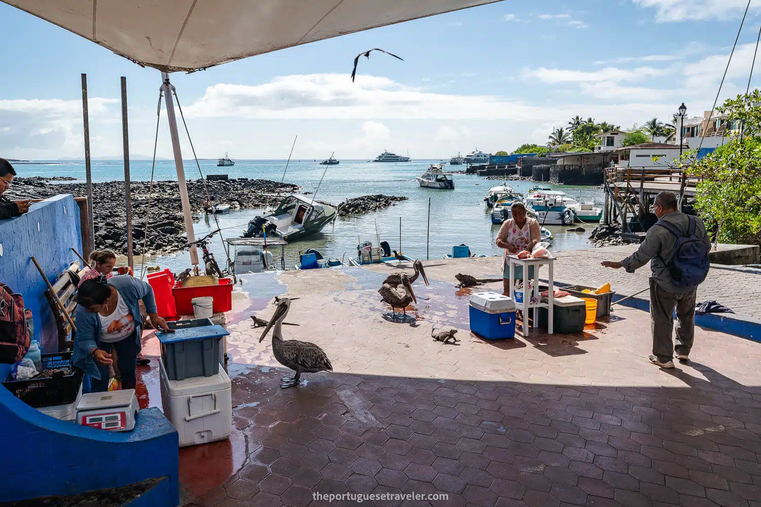 Muelle de los Pescadores in Puerto Ayora, Santa Cruz