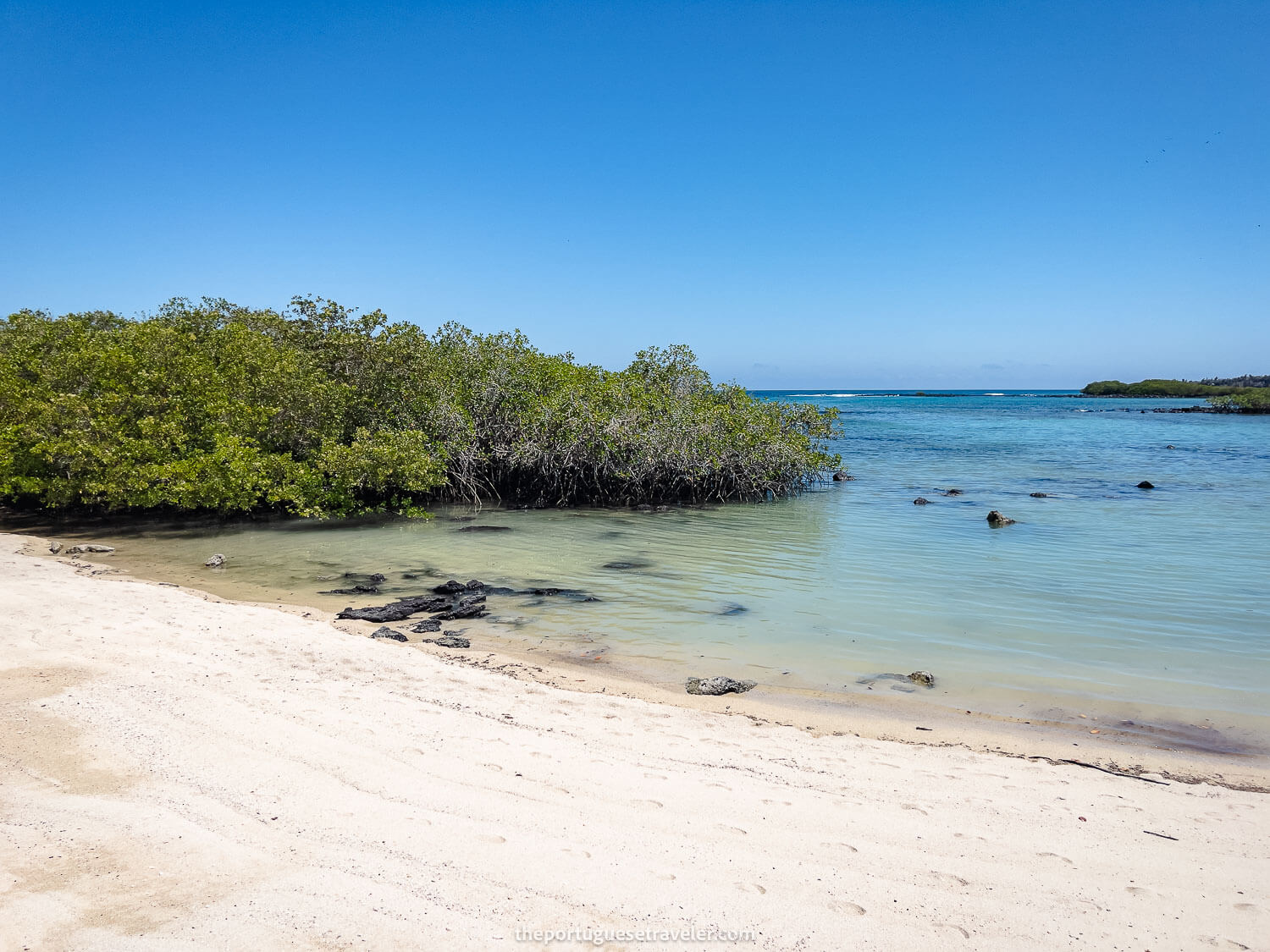 The Alemanes beach in Santa Cruz, Galapagos