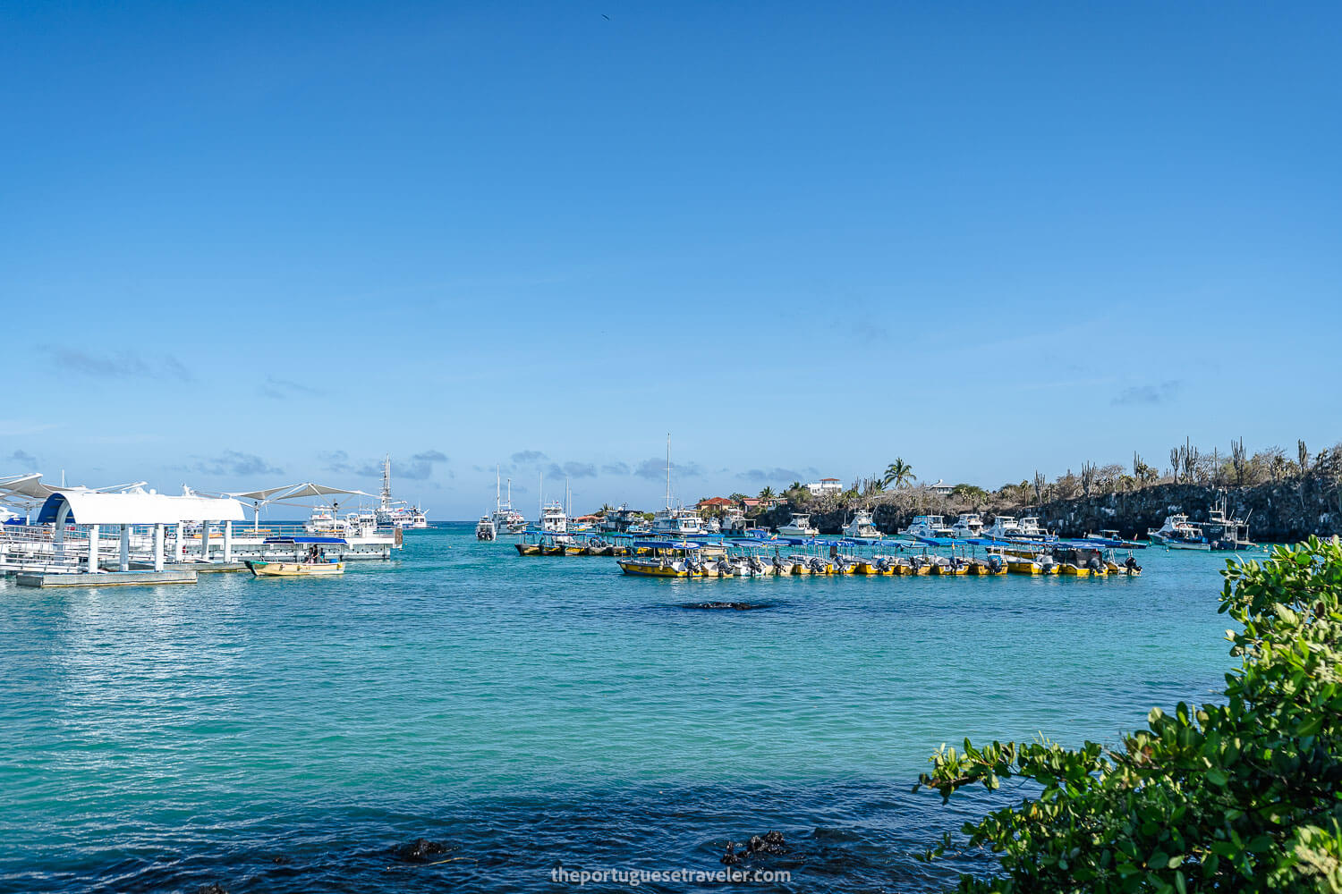 Puerto Ayora in Santa Cruz