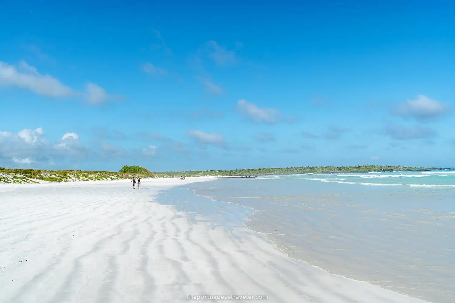 Tortuga Bay beach in Santa Cruz, Galápagos, a must in any Galapagos Itinerary