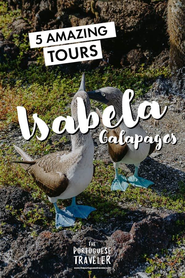 Best Tours in Isabela Galapagos