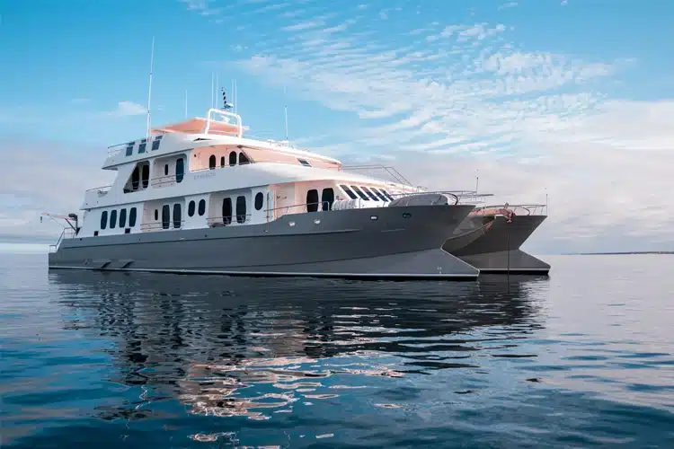 Alya Catamaran from Galagents