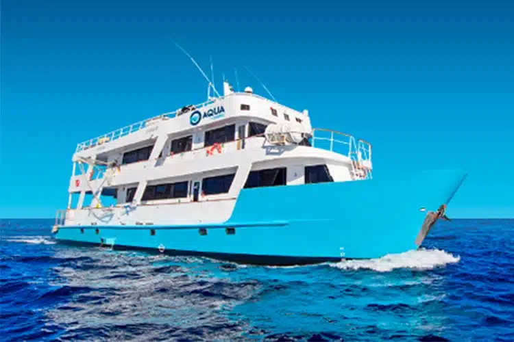 Aqua Dive Yacht from Oniric