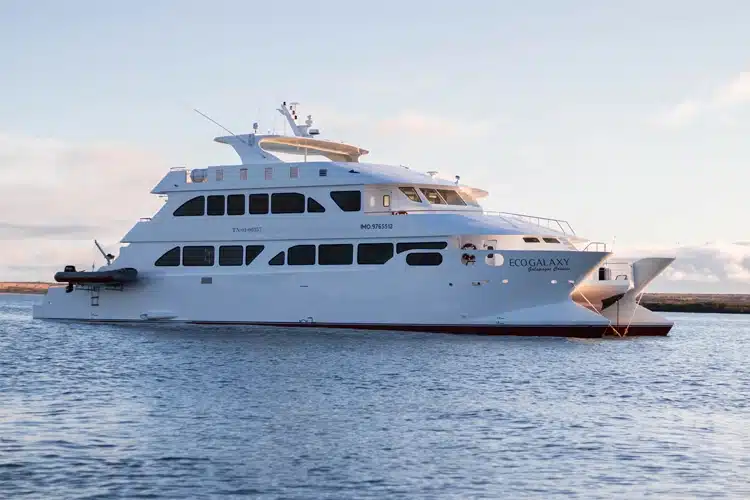 Ecogalaxy Catamaran from Galagents