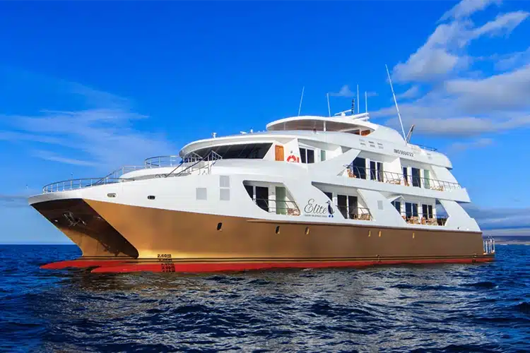 Elite Catamaran from Golden Galapagos