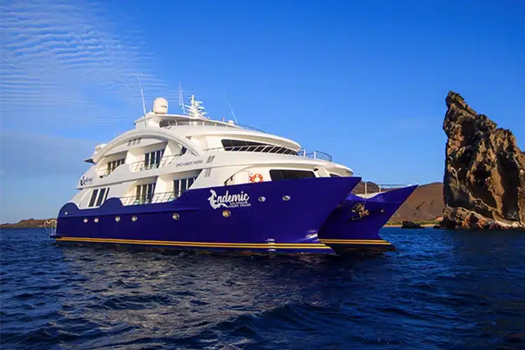 Endemic Catamaran from Golden Galapagos