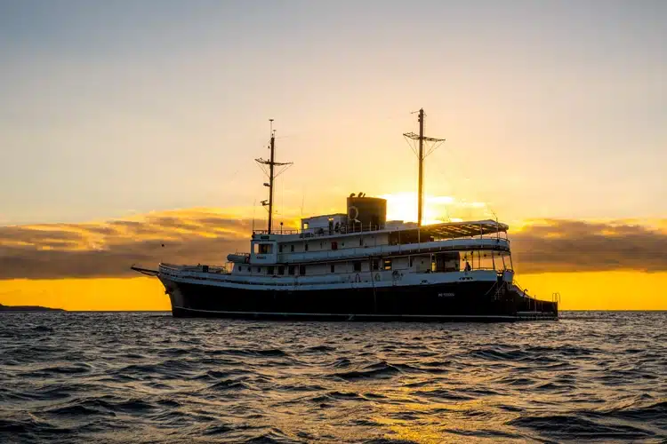 Evolution Yacht from Quasar Expeditions