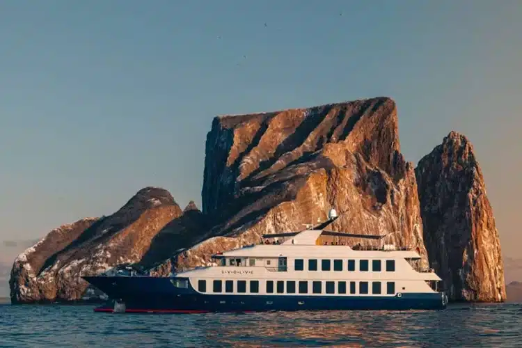 Evolve Yacht from Ecoventura