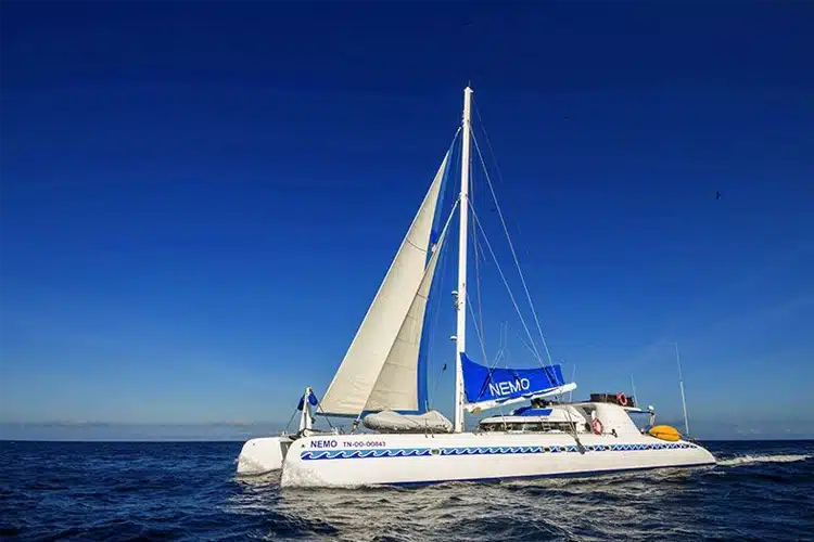 Nemo I Sailing-Motor Catamaran