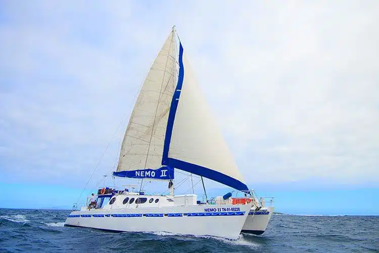 Nemo II Sailing-Motor Catamaran