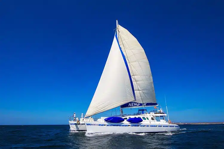 Nemo III Sailing-Motor Catamaran