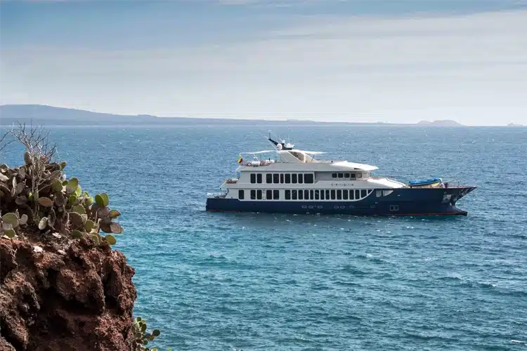 Origin Yacht from Ecoventura