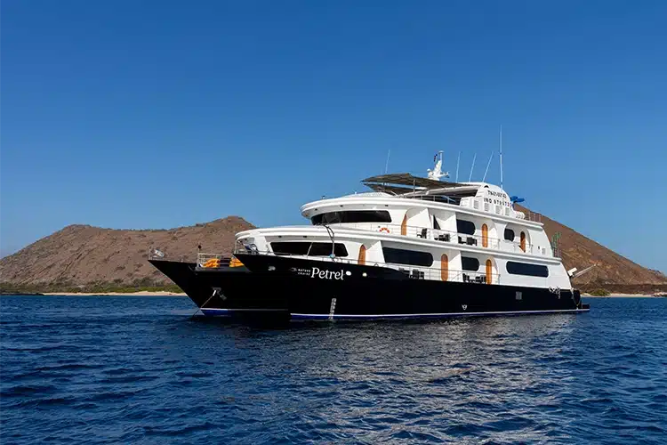 Petrel Catamaran from Golden Galapagos