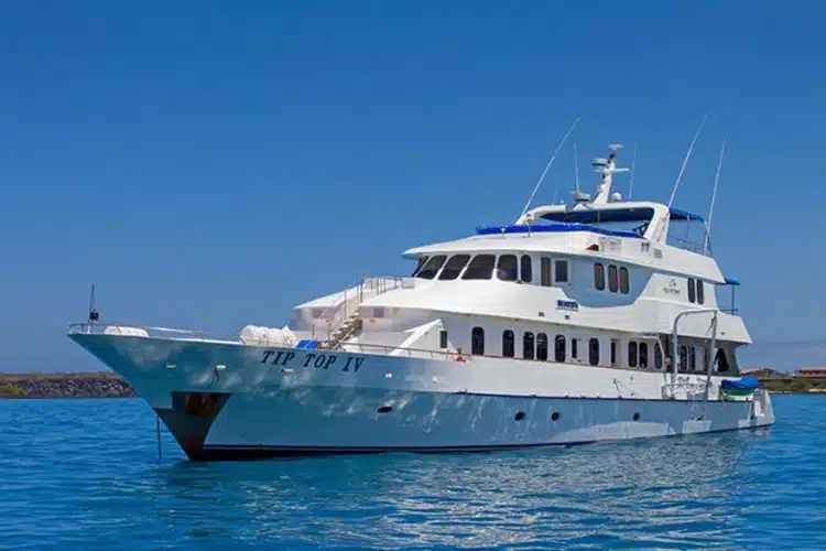 Tip Top IV Yacht from Tip Top Cruises