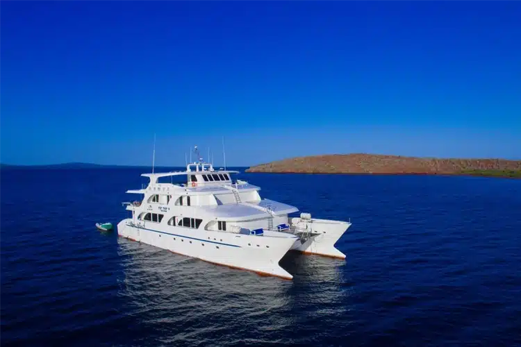 Tip Top V Catamaran from Tip Top Cruises