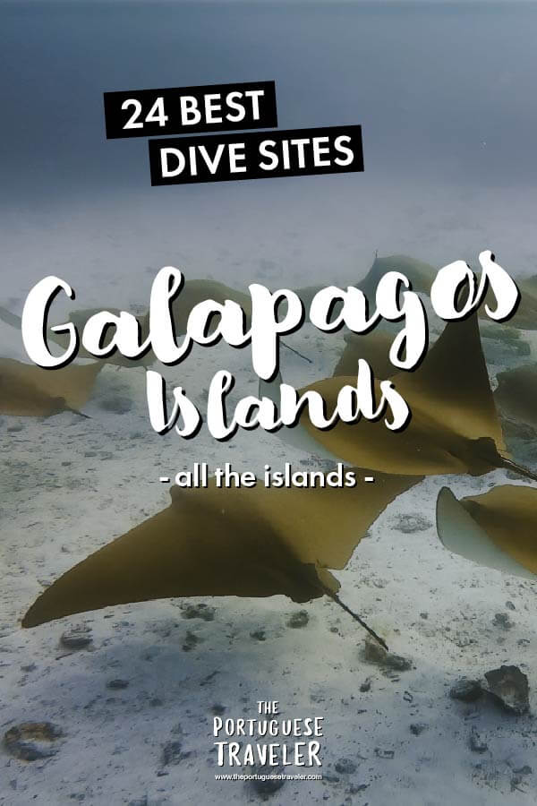 The Best Dive Sites in the Galapagos Islands