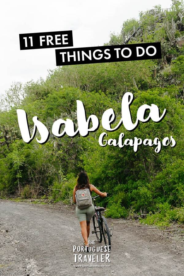 Free Things To Do in Isabela Island, Galapagos