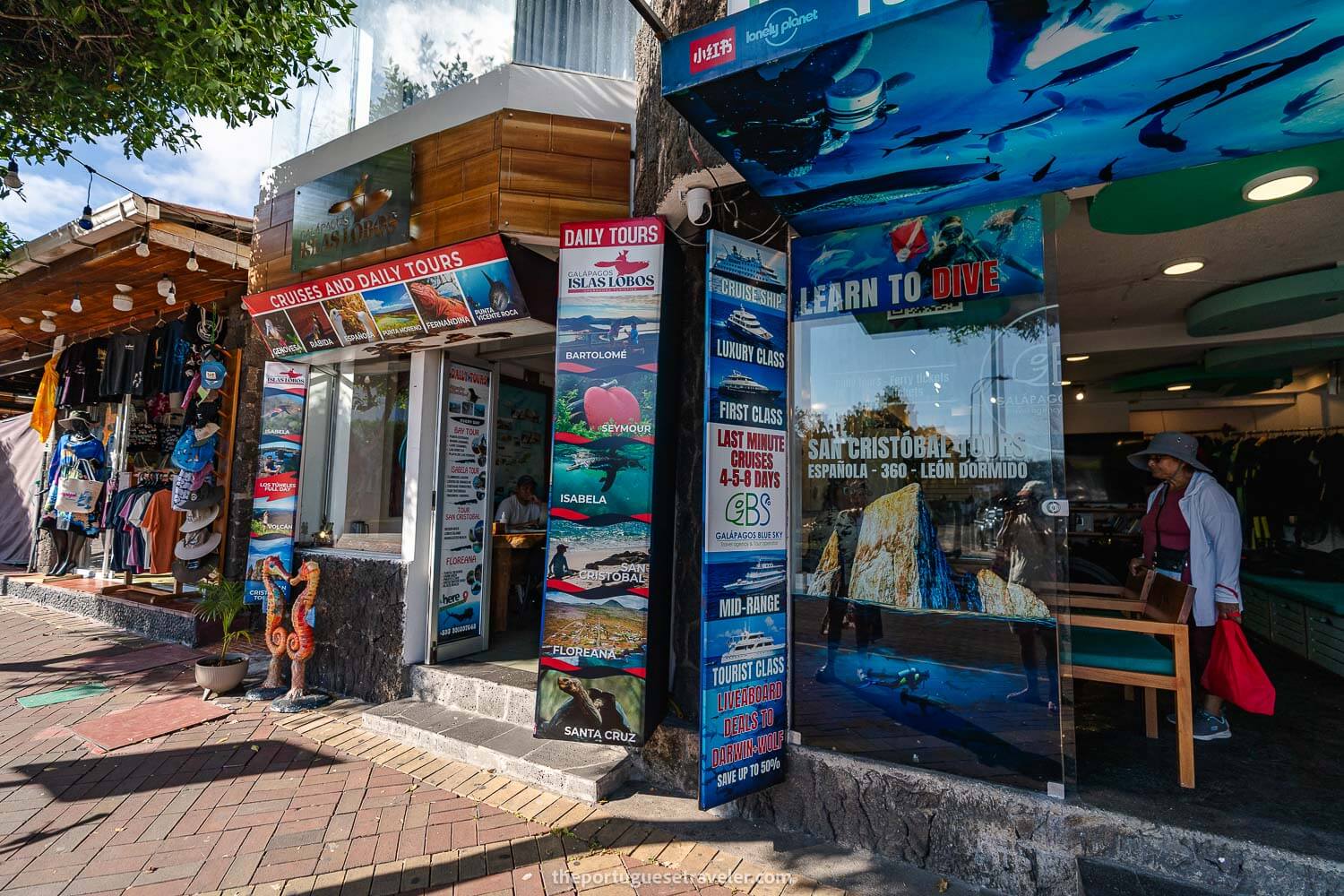 A Last-minute cruise deal in Puerto Ayora - Galapagos Trip Cost