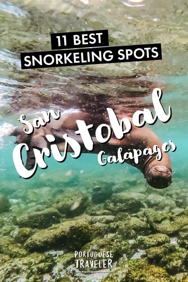 Best Snorkeling Spots in San Cristobal, Galapagos