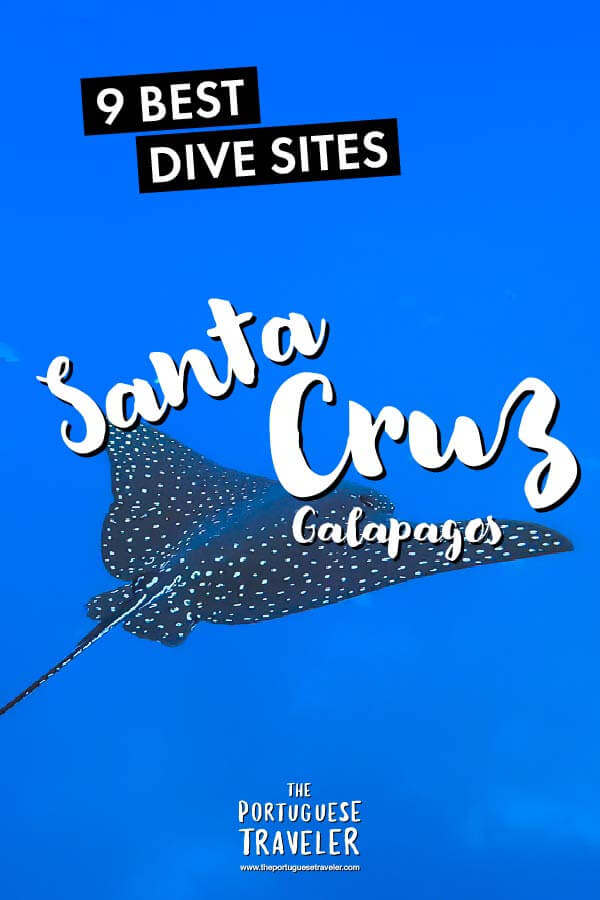 Best Dive Sites in Santa Cruz, Galapagos