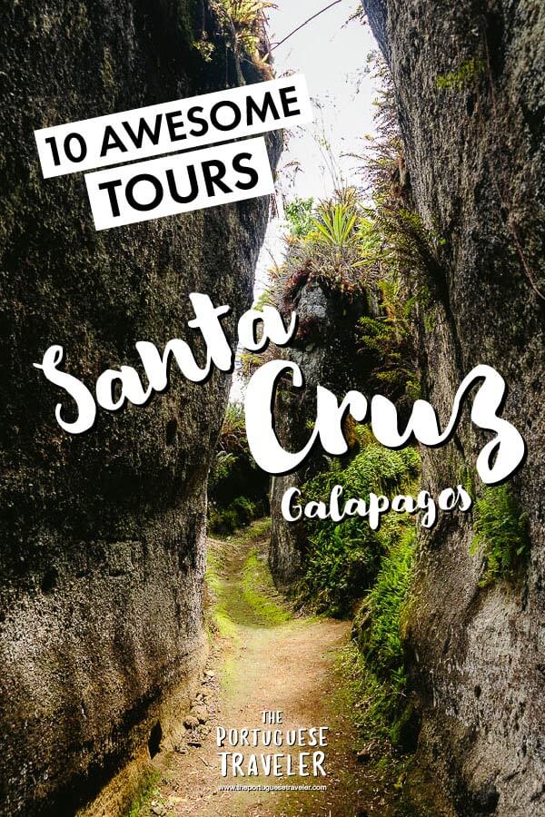 Best Land-based Tours in Santa Cruz, Galapagos