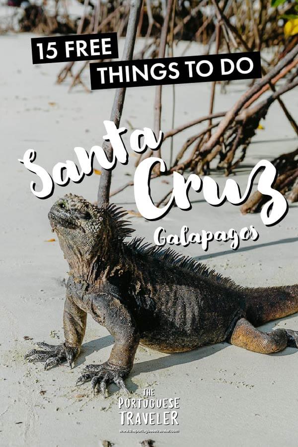 15 FREE THINGS TO DO IN SANTA CRUZ GALAPAGOS