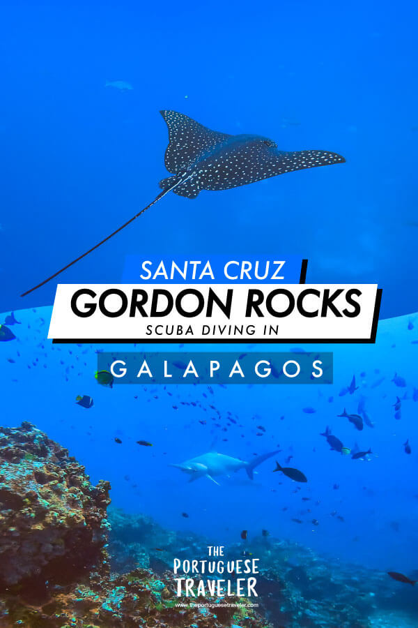 Scuba Diving in Gordon Rocks in Santa Cruz, Galapagos