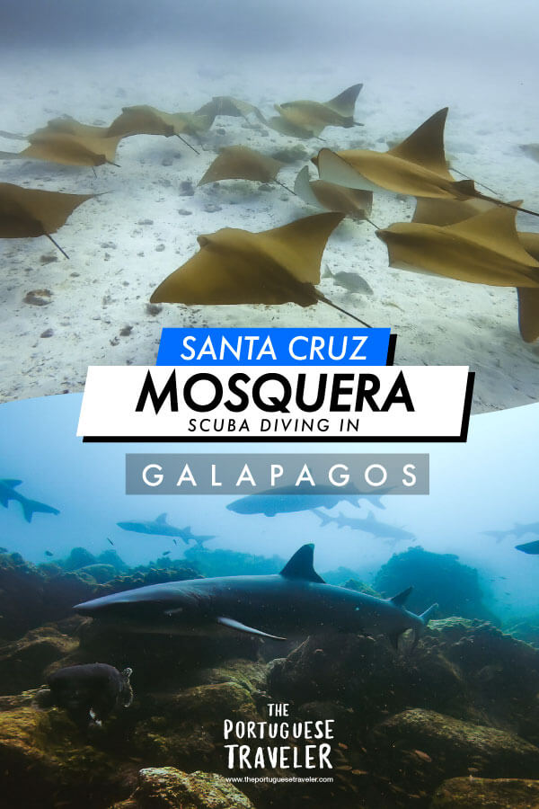 Scuba Diving in Mosquera Islet from Santa Cruz, Galapagos