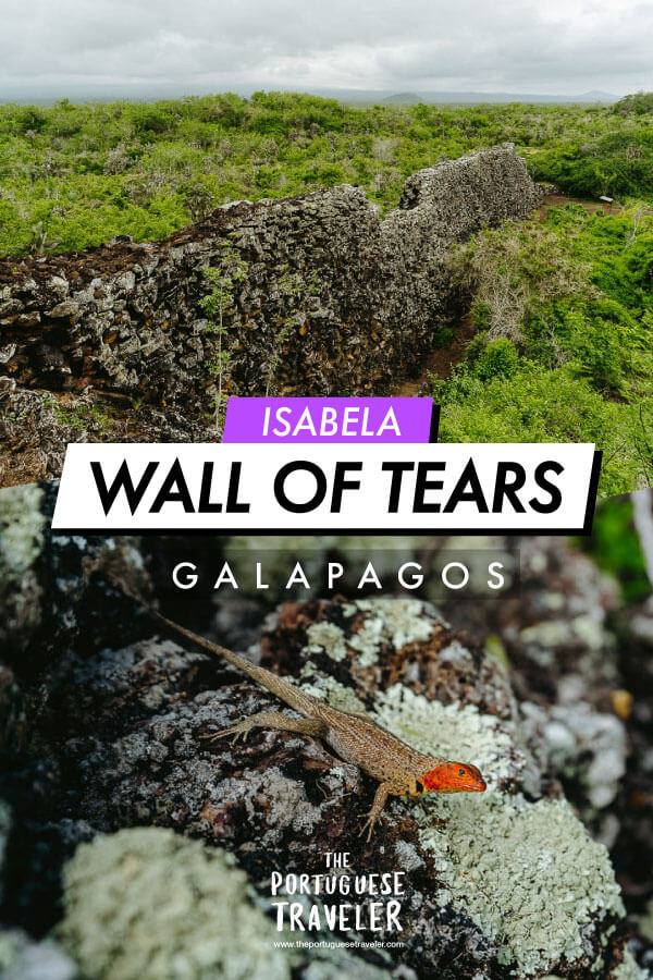 Wall of Tears in Isabela Galapagos