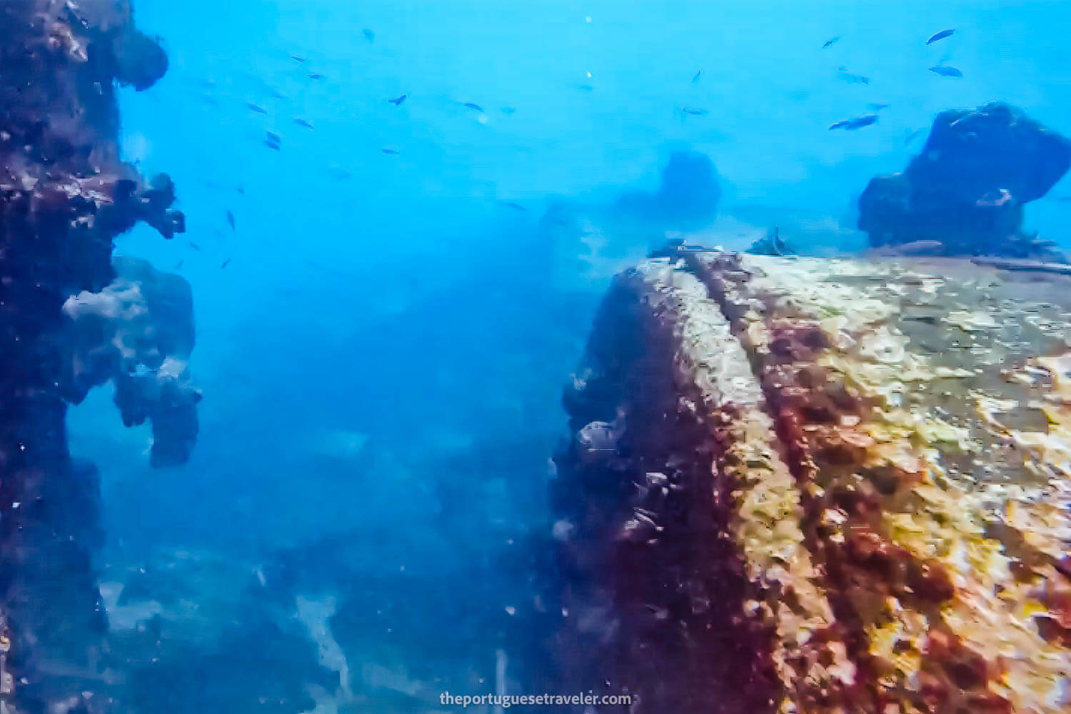 Some scenes of the wreck