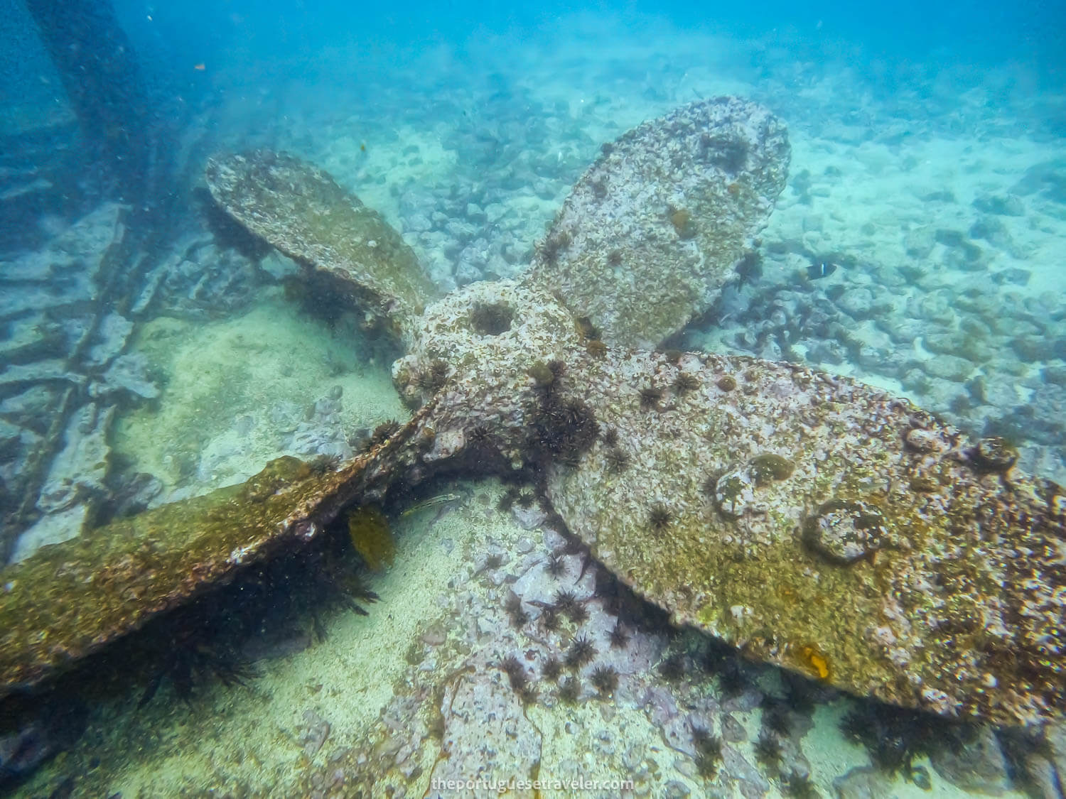 Carawa's Propeller