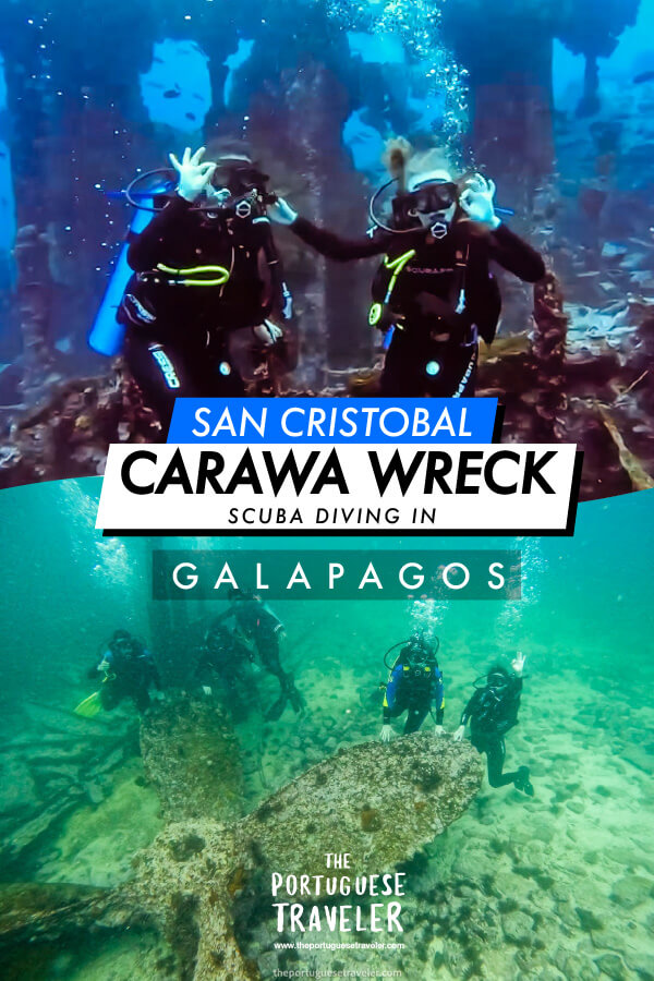 Carawa Wreck and Tijeretas Bay Dive in San Cristobal, Galapagos