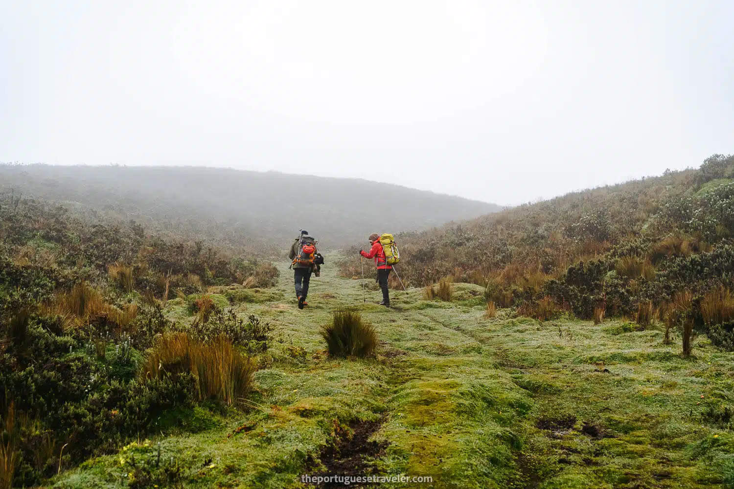 The wetlands on the Carihuairazo Hike