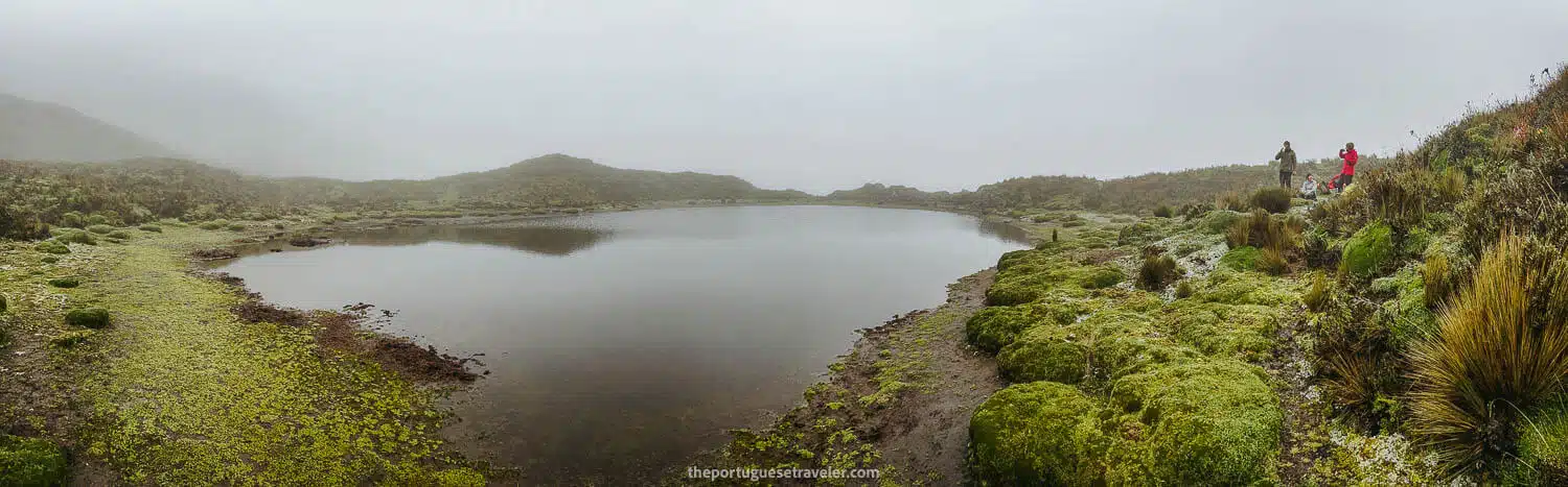 A panorama of the lagoon