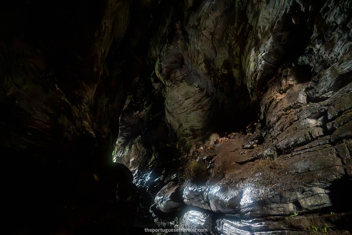 Gruta de Los Tayos, El Chaco: Napo Province